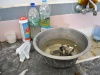 Mission humanitaire Maroc 2011